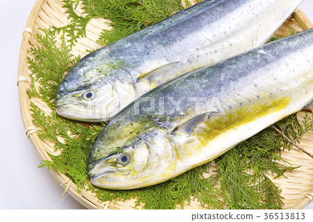 Shiira ingredients 36513813