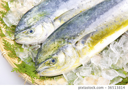 Shiira ingredients 36513814