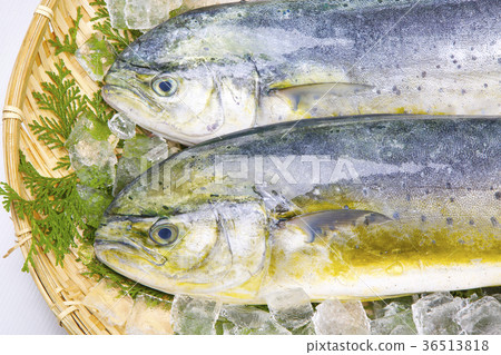 Shiira ingredients Shiira ingredients 36513818