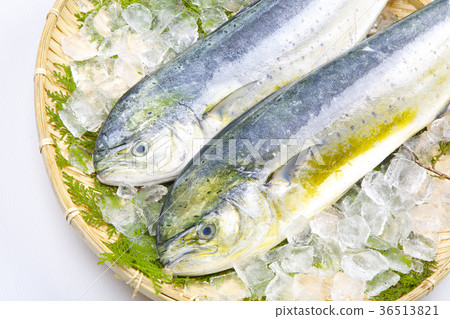 Shiira ingredients 36513821