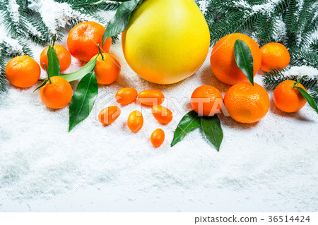 Fresh mandarins, oranges, pomelo, kumquat, Fresh mandarins, oranges, pomelo, kumquat, 36514424