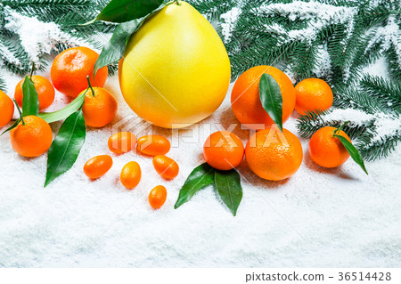 Fresh mandarins, oranges, pomelo, kumquat, Fresh mandarins, oranges, pomelo, kumquat, 36514428
