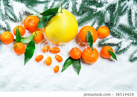Fresh mandarins, oranges, pomelo, kumquat, Fresh mandarins, oranges, pomelo, kumquat, 36514429