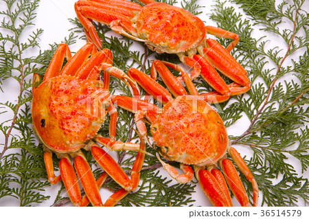 Snow crab female ingredients Snow crab female ingredients 36514579