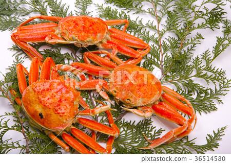 Snow crab female ingredients Snow crab female ingredients 36514580