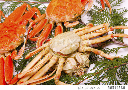 Snow crab female ingredients 36514586