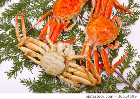 Snow crab female ingredients Snow crab female ingredients 36514599