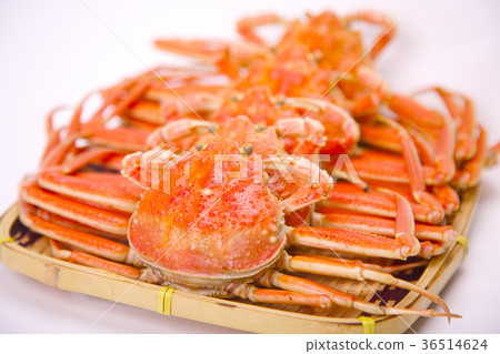 雪蟹女性成分 36514624