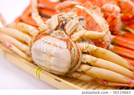 Snow crab female ingredients 36514663