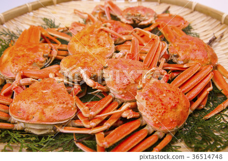 Secogani ingredients 36514748