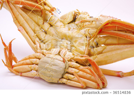 Matsuba crab ingredients Matsuba crab ingredients 36514836