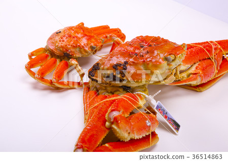 松葉蟹成分 松葉蟹成分 36514863