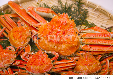 Matsuba crab ingredients 36514868