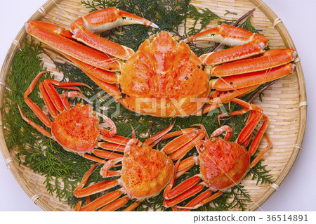 Matsuba crab ingredients Matsuba crab ingredients 36514891