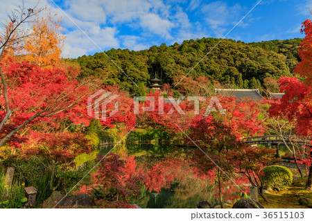 Kyoto Eikando Bentenjima in the fall 36515103
