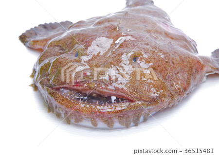 安口配料 安口配料 36515481