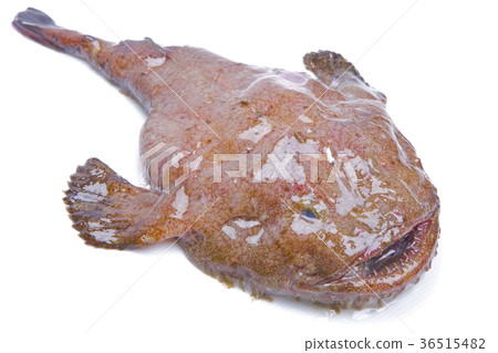 安口配料 安口配料 36515482