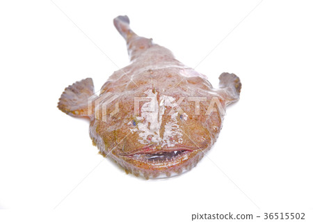 安口配料 安口配料 36515502