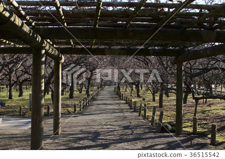 冬天在天堂 冬天在天堂 36515542