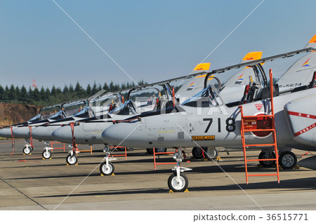 Ground T-4 trainer 36515771