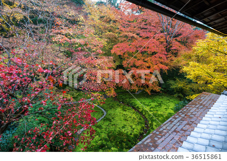 Authority Rurikoin 36515861