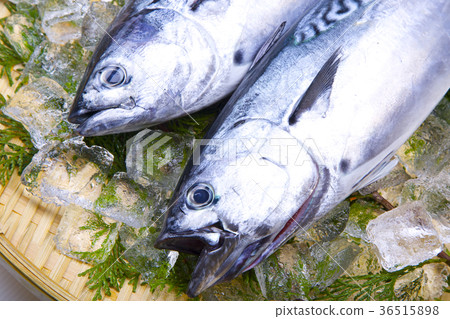 Suma成分 Suma成分 36515898