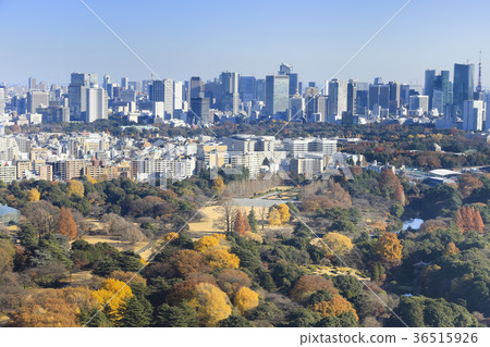 Tokyo view Autumn (from Shinjuku to Shinbashi and Toranomon) 36515926