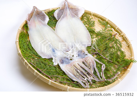 Overnight dried squid Overnight dried squid 36515932