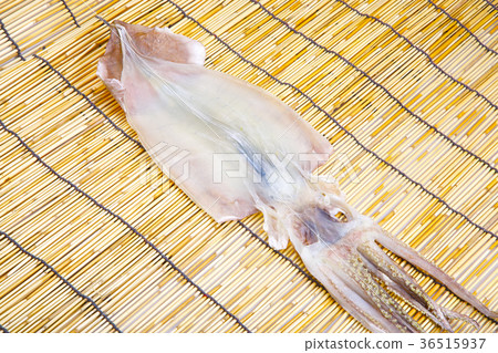 隔夜魷魚乾 隔夜魷魚乾 36515937
