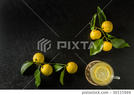 柚子茶涼茶柑橘在日本的涼茶 柚子茶涼茶柑橘在日本的涼茶 36515989