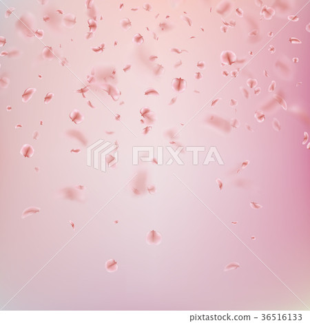 Spring background with pink Sakura petals. EPS 10 36516133