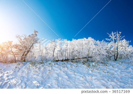 Deogyusan mountains is covered by snow in Korea. Deogyusan mountains is covered by snow in Korea. 36517169