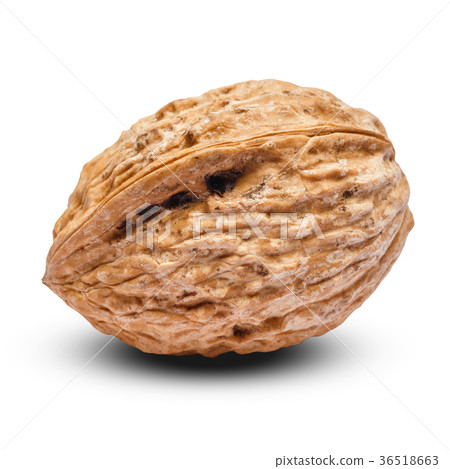 whole walnut isolated on white background 36518663