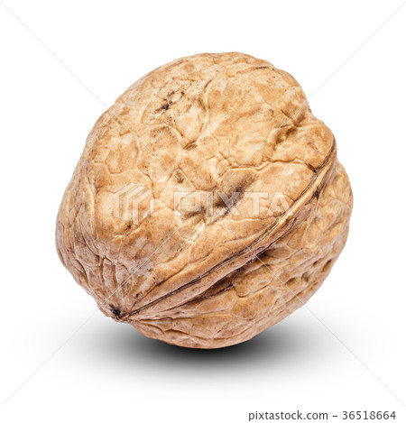 whole walnut isolated on white background 36518664