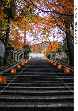 Kokuzou Horinji,接近石階的秋葉 Kokuzou Horinji,接近石階的秋葉 36519749