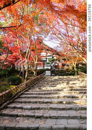 Ryoanji寺,石階和秋葉到木曾 Ryoanji寺,石階和秋葉到木曾 36519798