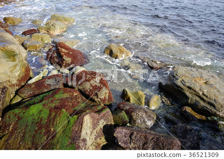 Sanriku coast green Sanriku coast green 36521309
