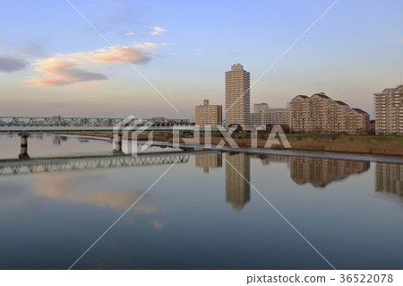 Arakawa·Shin Funabori Bridge的風景 Arakawa·Shin Funabori Bridge的風景 36522078