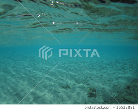 沖繩海水下沖繩島克拉瑪群島海洋透明度優秀南國夏季海洋夏季在南海南海玩 沖繩海水下沖繩島克拉瑪群島海洋透明度優秀南國夏季海洋夏季在南海南海玩 36522851