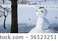 雪人7 36523251