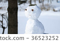 雪人8 36523252