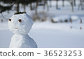 雪人9 36523253