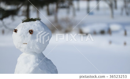 Snowman 9 Snowman 9 36523253