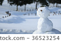 雪人10 36523254
