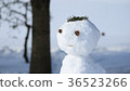 雪人11 36523266