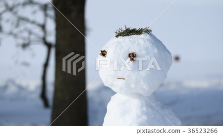 Snowman 11 36523266