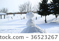 雪人12 36523267
