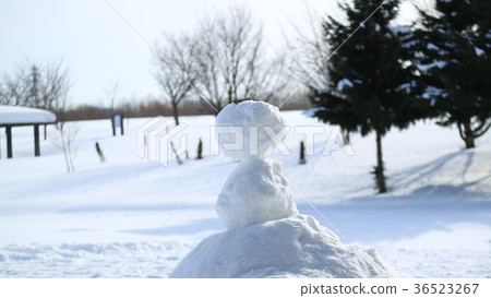 雪人12 36523267