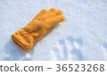 雪場手套1 36523268