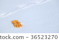 雪場手套3 36523270